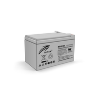 Акумуляторна батарея AGM RITAR RT12120, Gray Case, 12V 12.0Ah (151х98х 95 (101) ) Q4 Изображение