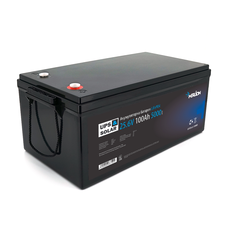 Літій-залізо-фосфатний акумулятор Merlion LiFePO4 25.6V 100AH ​​(8S2P/BMS-100A), (522x238x225), до 5000 циклів Изображение