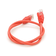 Патч-корд литий RITAR, UTP, RJ45, Cat.5e, 0,25m, червоний, Cu (мідь) Зображення
