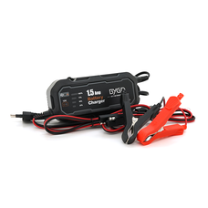 Автомобільне ЗУ BYGD 12V,85-240V,1.5А,LED-індикація,клеми(AGM/GEL/Lead) Зображення