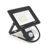 Прожектор LED з датчиком руху Ritar ZB-PGGY-30W, 30W, SMD2835, IP65, 2400Lm, 6500K (100%), Ra>70, 141*126*40mm, Black Изображение
