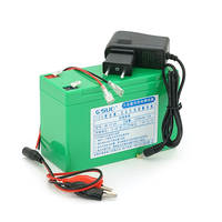Акумуляторна батарея літієва QiSuo 12V 12A з елементами Li-ion 18650 (150X64,5X97,7) + зарядний пристрій 12,6V / 1A + крокодили Изображение