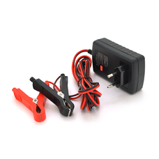 Автоматичне ЗУ для акумулятора RJTianye  6V/12V,100-240V,2A,клеми(AGM/GEL,Lead) Изображение