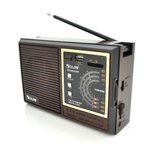 Радіоприймач GOLON RX9933UAR, 6W, AM/FM радіо, Вхід microSD, USB, живлення від 220+АКБ+4*LR20, корпус пластмас, Black/Brown, BOX Изображение
