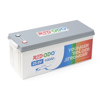 Акумуляторна батарея LiFePO4 Redodo 25.6V 100Ah, 2560Wh, BMS 100A, BASIC, ≥4000 циклів, 532*207*215мм, 19 kg Зображення