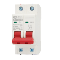 Автоматичний вимикач постійного струму ZUOYI Z7-63Z 2P C40 DC250-1000V, 40A, 6kA, DIN, 73*80*36mm Изображение