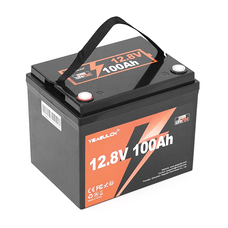 Акумуляторна батарея YEAGULCH Mini Max LiFePO4 12,8V 100Ah 1280Wh, BMS-100A, ( 299 x 193 x 200) , M8, 12.9kg Q1 Изображение